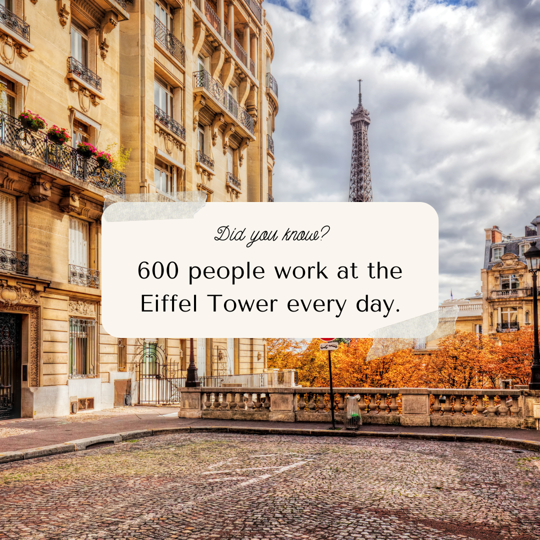 Template Feed Instagram Paris France Fact 